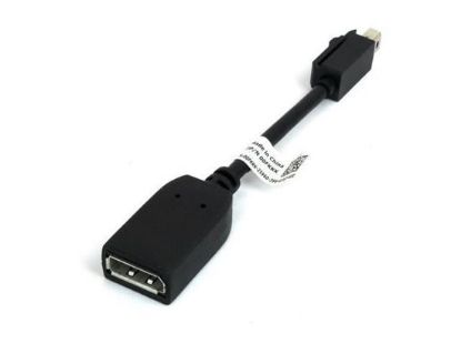Hình ảnh HP Single miniDP-to-DP Adapter Cable (2MY05AA )
